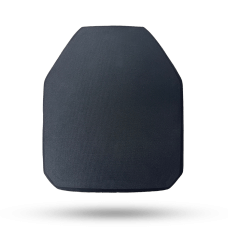IC4100 Level III+ ICW Plate - front view