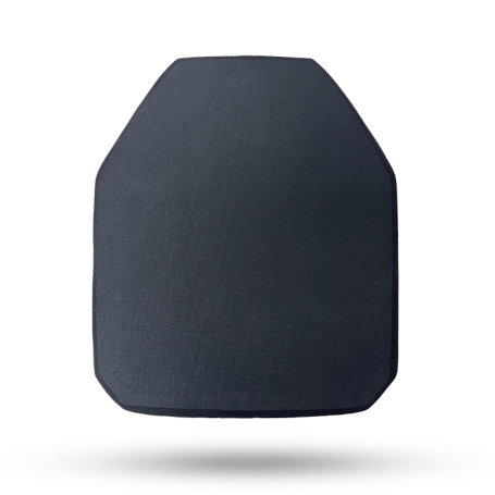 IC4100 Level III+ ICW Plate - front view